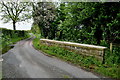 Small bridge along Raveagh Road