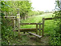 Stile just after you leave the main path