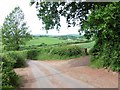 Minor road to Chapel Leigh