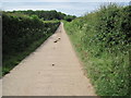 Mucklands Lane towards Gaston Wood