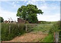 Enclosure on Watersmeet Farm