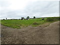 SJ3305 : Dairy herd in a field near Aston Piggott by Jeremy Bolwell