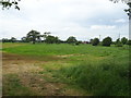 Grazing near Little Cloverley