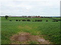 Grazing towards Audley Brow