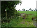 Footpath and field entrance near Higginswood