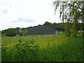 Farm building, Tadgedale