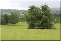 SO2218 : Tree in field by A40, Crickhowell by M J Roscoe