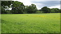 View across field north of Mortimers Lane