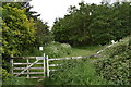 Footpath towards Corning Tye