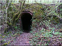 SN5005 : Entrance to the southern end of the Hoffman brick kiln, Horeb by Humphrey Bolton