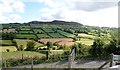 View East across the Ballinn valley towards the Western slopes of Slievenacappel