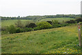 The eastern side of Farthing Downs