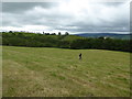 Walking across a large mowed field