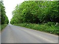 Minor road near Oatley Hill Farm