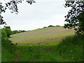 Field at Woodside Farm, Mouldsworth 