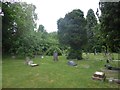 An early morning visit to Derby Road Cemetery (5)