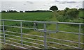 Farmland next to Rempstone Road