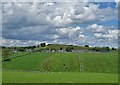 Looking towards Litton