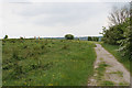 Path on Farthing Downs