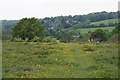 Path off Farthing Downs