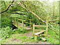 Stile and bridge across the Ashton Brook