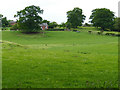 View north from the edge of Delamere Forest