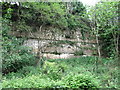 Disused quarry at top of Wass Bank