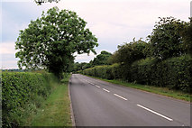 SJ4916 : Ellesmere Road (A528) near Hencott Wood by David Dixon