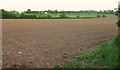 SX9891 : Arable field near Westpoint by Derek Harper
