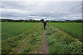 Leeds Country Way towards Methley Lane