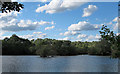 TQ5782 : Lake in Belus Woods Country Park by Roger Jones