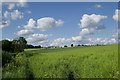 Farmland west of Froxfield