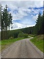 Track towards Mynydd Nant y Bar