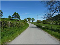 SJ0336 : On the lane through Cwm Pennant by Richard Law