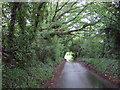 Barnetts Lane, Kidderminster 