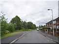 Tenacre Lane View