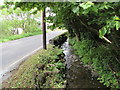 Stream below the A485 in Cwmann, Carmarthenshire