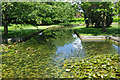 The moat - Eltham Palace