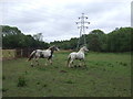 Grazing and pylon, Lower Penn