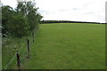 Public footpath through the pasture