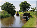 Llangollen (Shropshire Union) Canal near Ellesmere