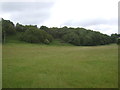 Grassland towards Blazebank