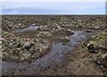 NB4656 : Peat bog, Malagro, Isle of Lewis by Claire Pegrum