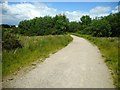 Path in Dams to Darnley Country Park