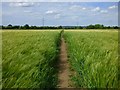 Farmland, Drayton