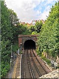 TQ4109 : Railway Tunnel, Lewes by PAUL FARMER