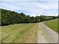 Track to Coombe Farm