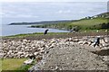 Dry stone wall 