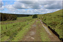 SD7623 : Rossendale Way West of Windy Harbour Farm by Chris Heaton