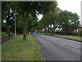 Lawnwoods Road towards Wordsley